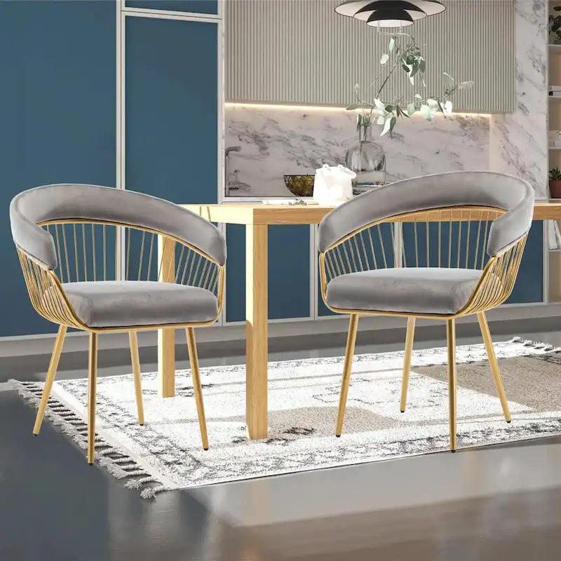 XINMICS Modern Dining Chair, Velvet Back Armchair for Living Room/Study, Set of 2/4/6