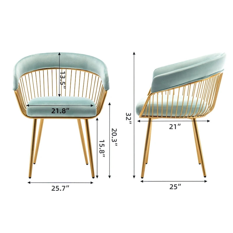 XINMICS Modern Dining Chair, Velvet Back Armchair for Living Room/Study, Set of 2/4/6