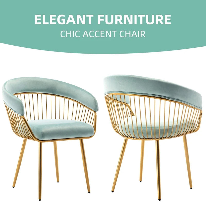 XINMICS Modern Dining Chair, Velvet Back Armchair for Living Room/Study, Set of 2/4/6