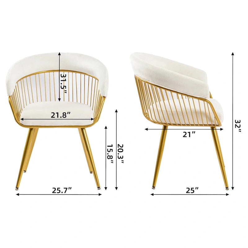 XINMICS Modern Dining Chair, Velvet Back Armchair for Living Room/Study, Set of 2/4/6