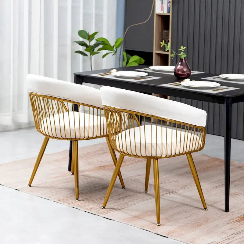 XINMICS Modern Dining Chair, Velvet Back Armchair for Living Room/Study, Set of 2/4/6