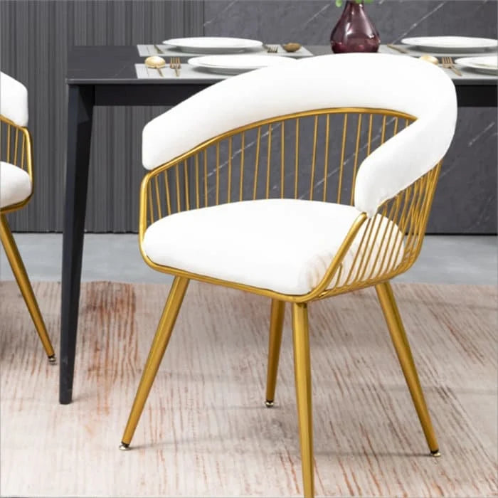 XINMICS Modern Dining Chair, Velvet Back Armchair for Living Room/Study, Set of 2/4/6