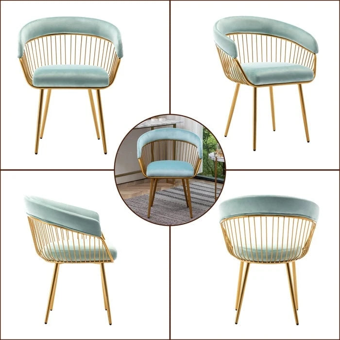 XINMICS Modern Dining Chair, Velvet Back Armchair for Living Room/Study, Set of 2/4/6
