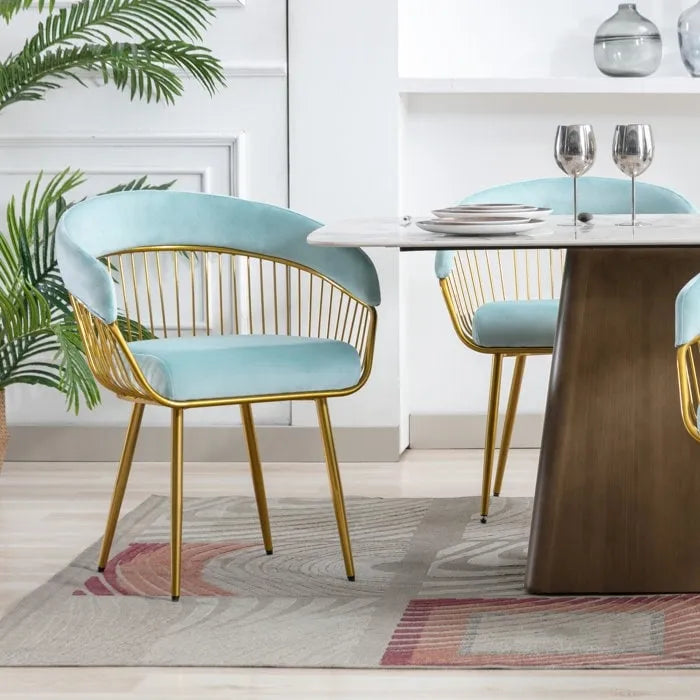 XINMICS Modern Dining Chair, Velvet Back Armchair for Living Room/Study, Set of 2/4/6