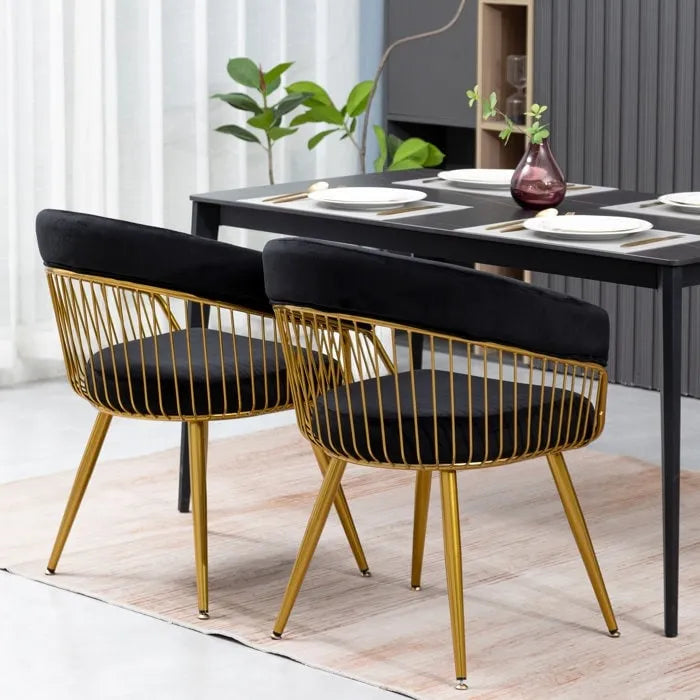 XINMICS Modern Dining Chair, Velvet Back Armchair for Living Room/Study, Set of 2/4/6